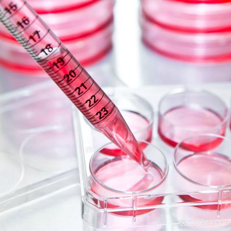 生物科技：为威海的未来注入新活力
