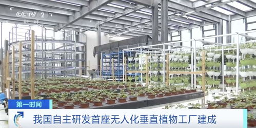 世界初 中国が自动化垂直植物工场を独自开発